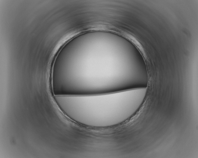X0000113341146200909151000