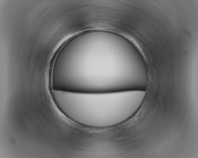 X0000113341147200909151000