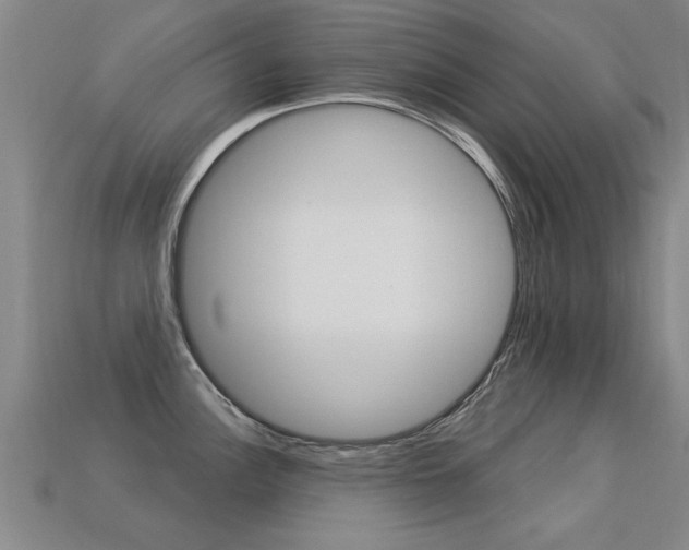 X0000113341148200909151000
