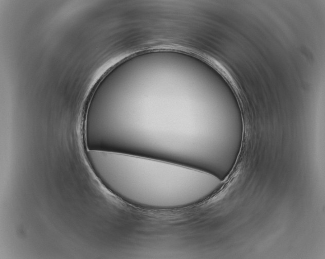 X0000113341149200909151000