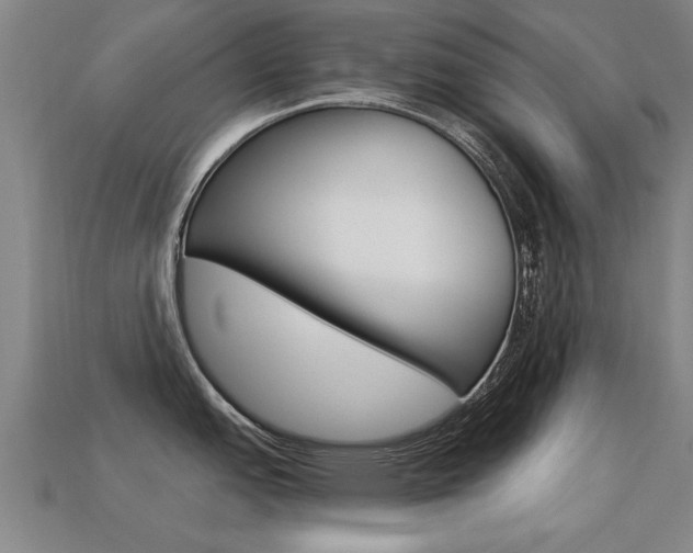 X0000113341151200909151000