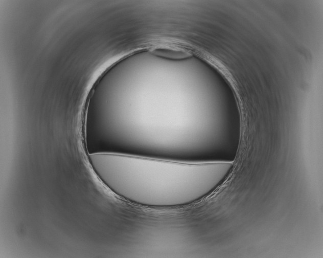 X0000113341152200909151000