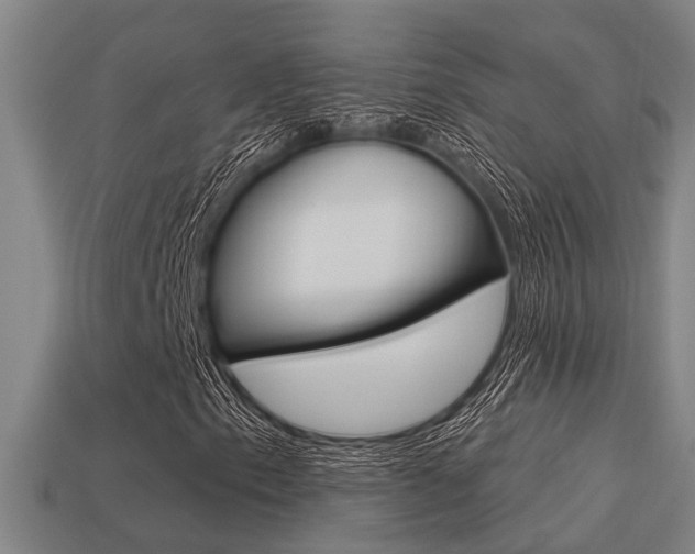 X0000113341153200909150959