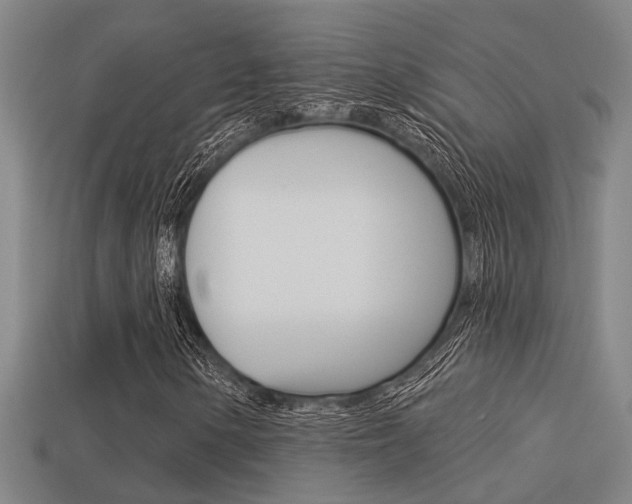 X0000113341154200909150959