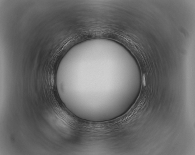 X0000113341155200909150959