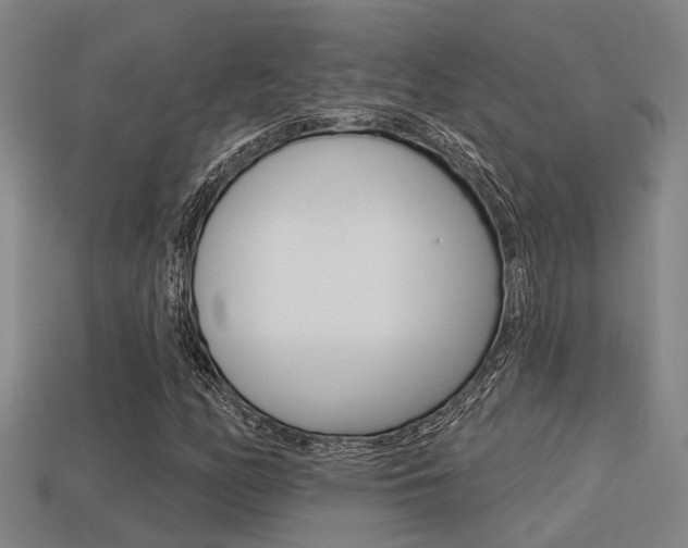 X0000113341158200909150959