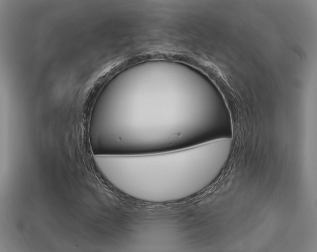 X0000113341159200909150959