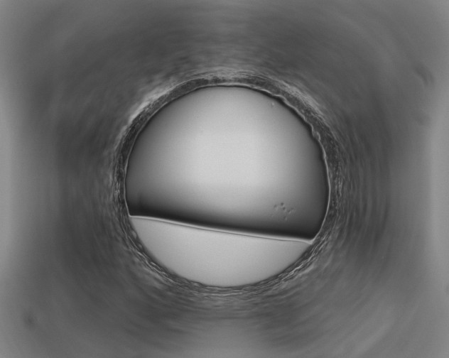 X0000113341160200909150959