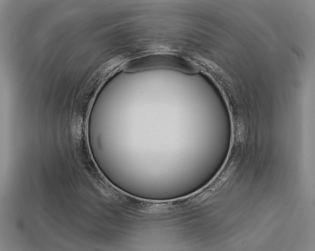 X0000113341161200909150959