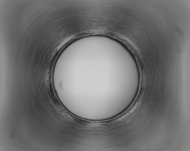 X0000113341162200909150959
