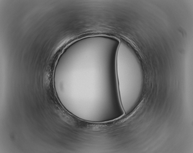 X0000113341163200909150959