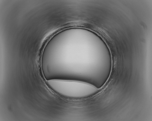 X0000113341164200909150959