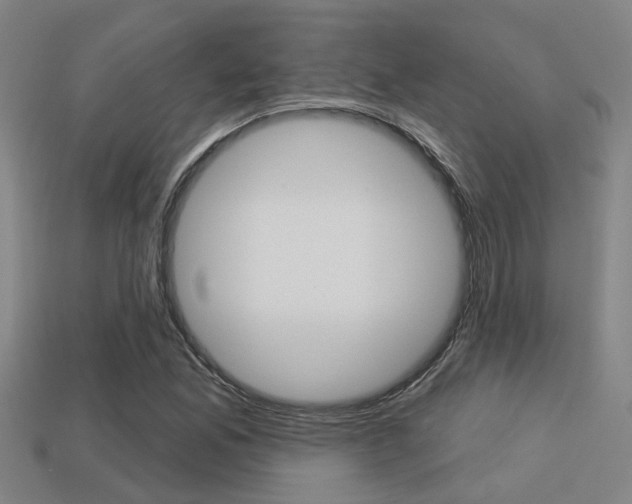 X0000113341165200909150959
