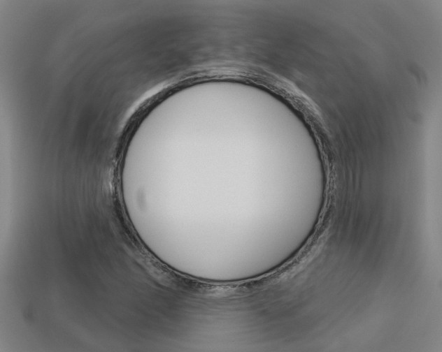 X0000113341166200909150959