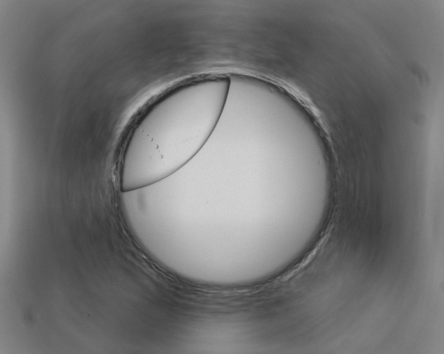 X0000113341167200909150959