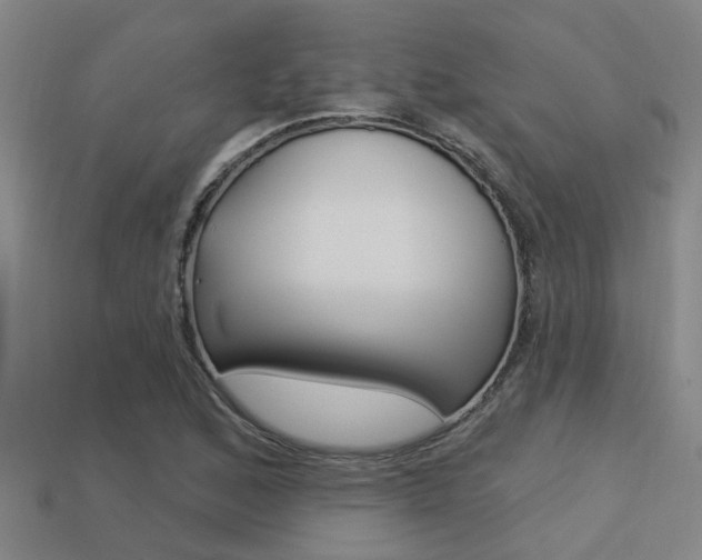 X0000113341168200909150959