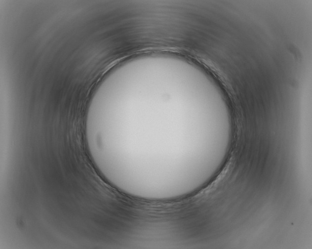 X0000113341169200909150959