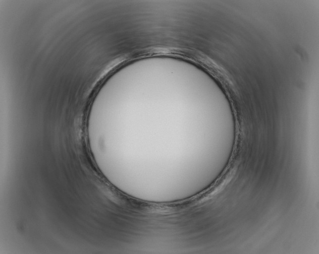 X0000113341170200909150959