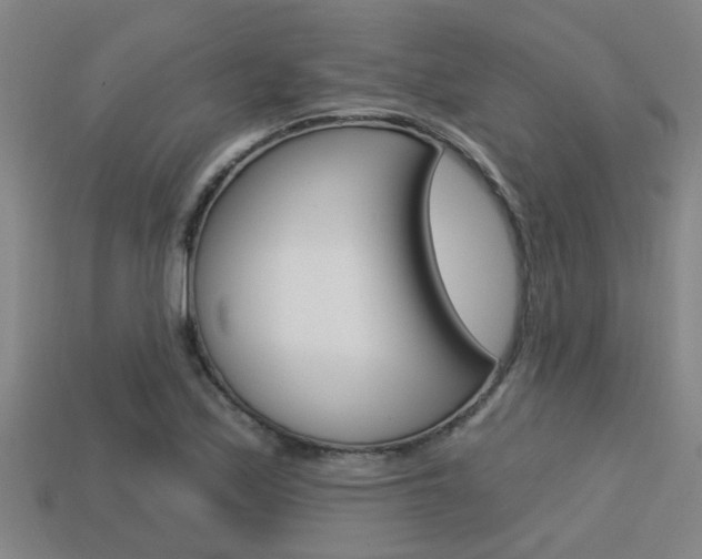 X0000113341171200909150959