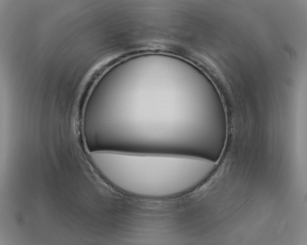 X0000113341172200909150959