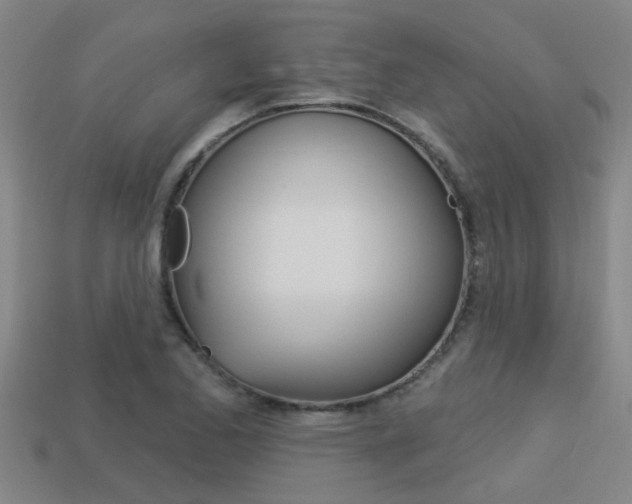X0000113341173200909150959