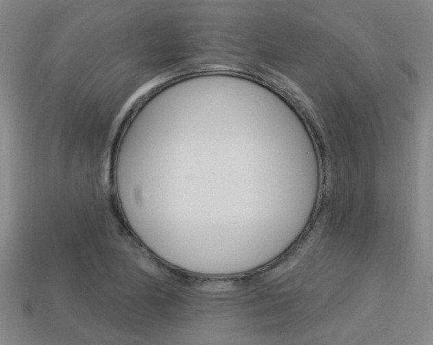X0000113341174200909150959