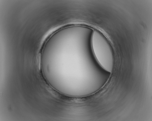 X0000113341175200909150959