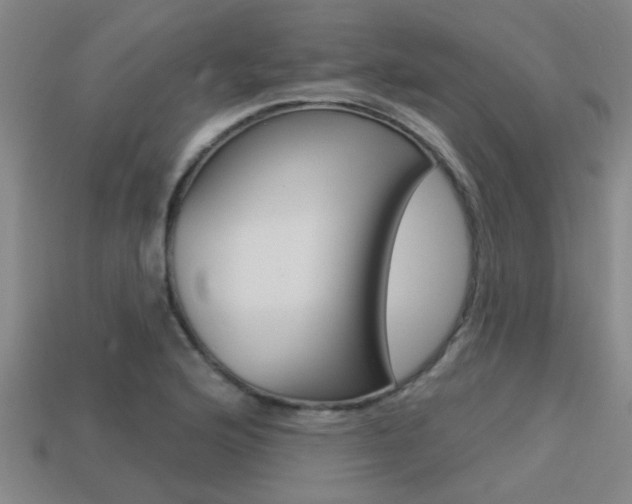 X0000113341176200909150959