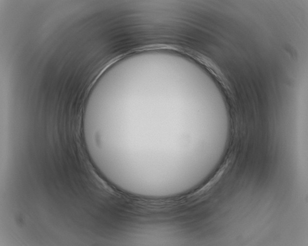 X0000113341177200909150959