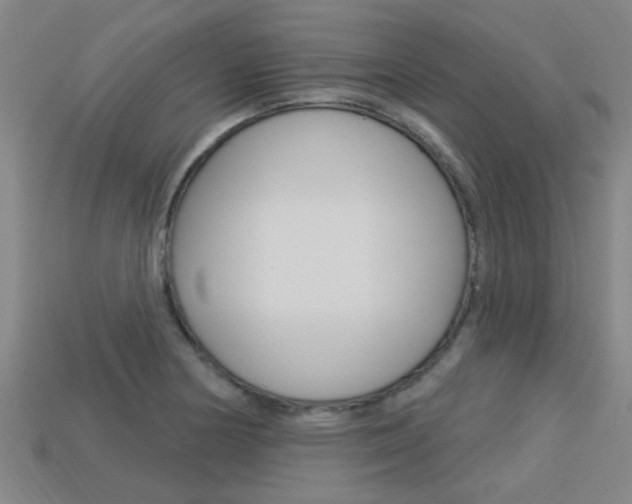 X0000113341178200909150959