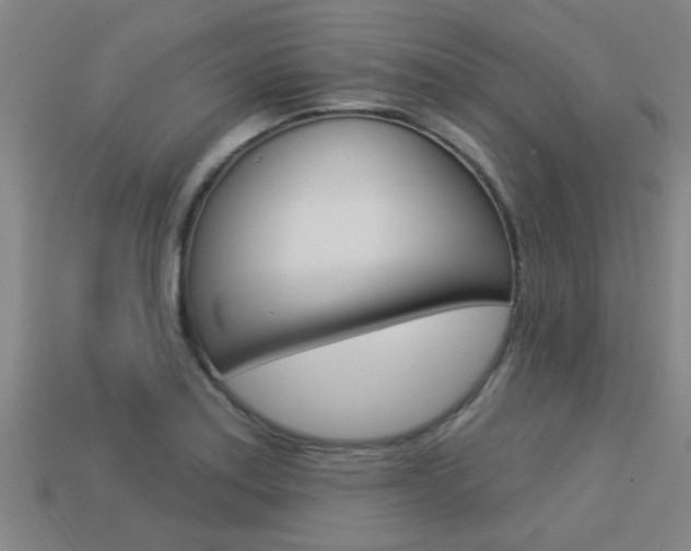 X0000113341179200909150959