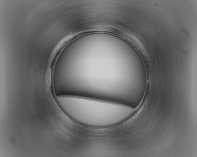 X0000113341180200909150959