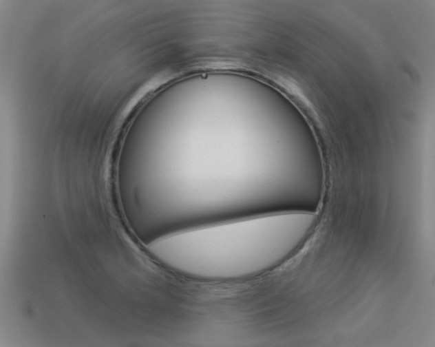 X0000113341181200909150959