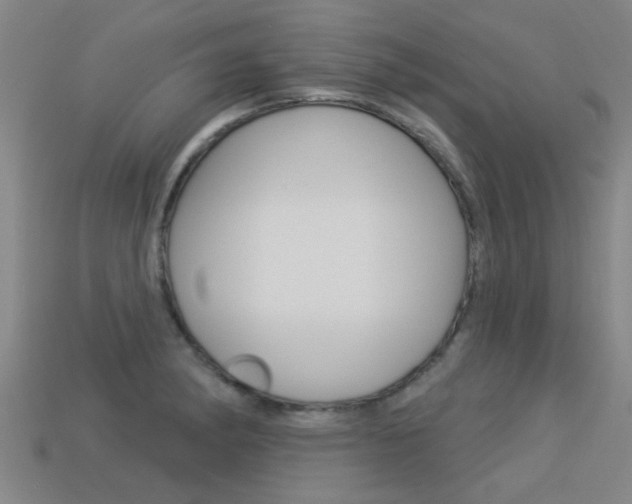 X0000113341182200909150959