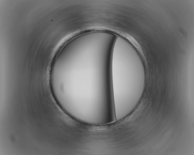 X0000113341183200909150959
