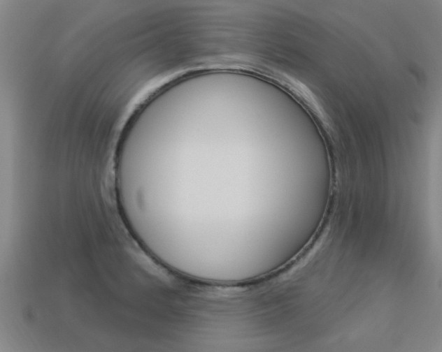 X0000113341184200909150959