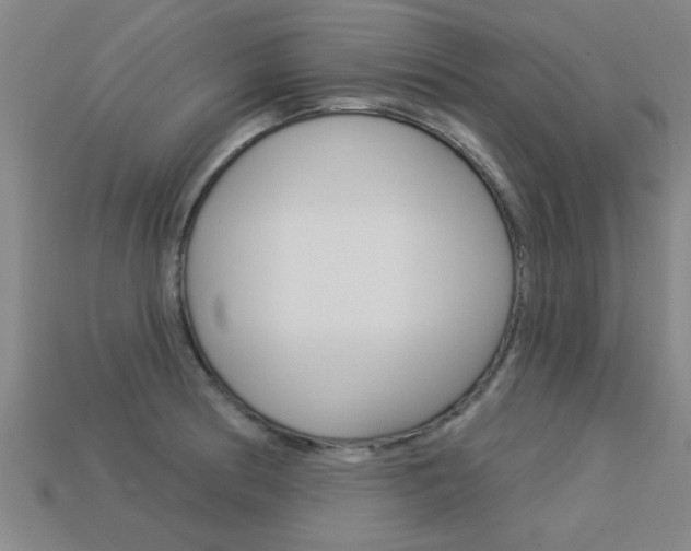 X0000113341186200909150959