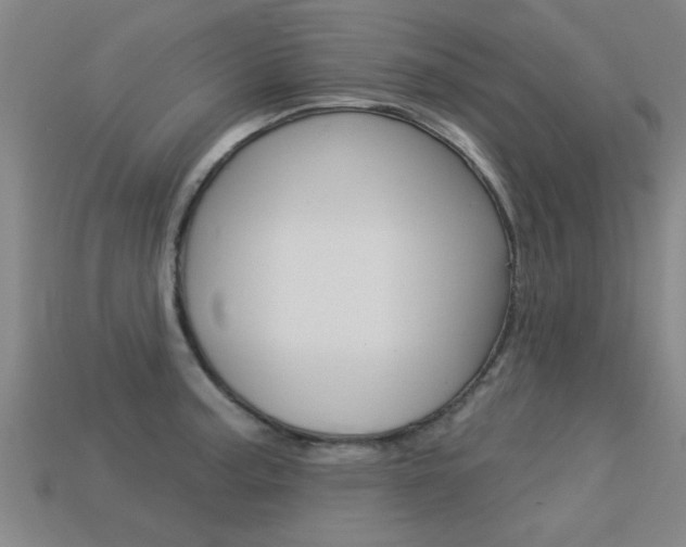 X0000113341187200909150959