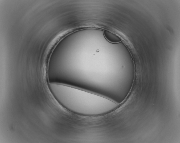 X0000113341188200909150959