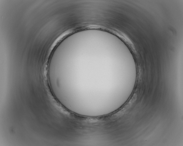 X0000113341190200909150959