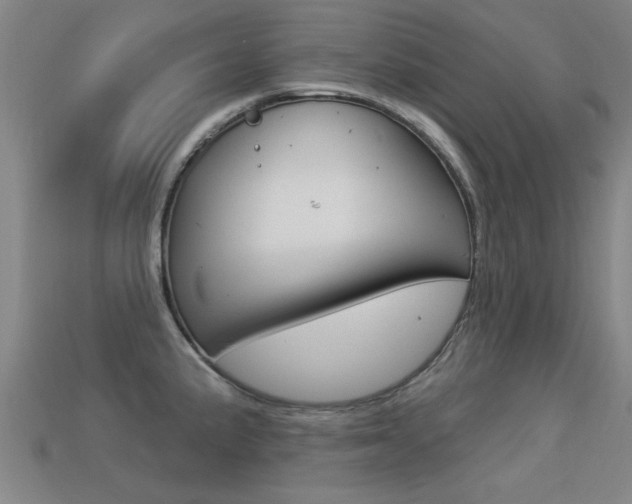 X0000113341191200909150959