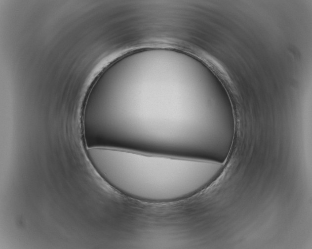 X0000113341192200909150959