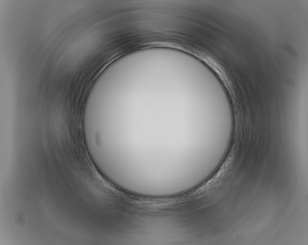 X0000113341193200909150959