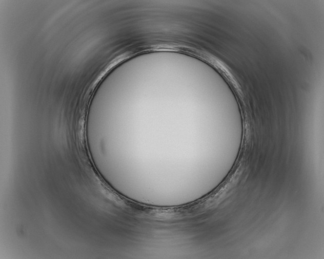 X0000113341194200909150959