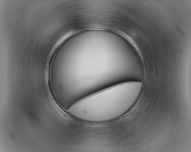 X0000113341195200909150959