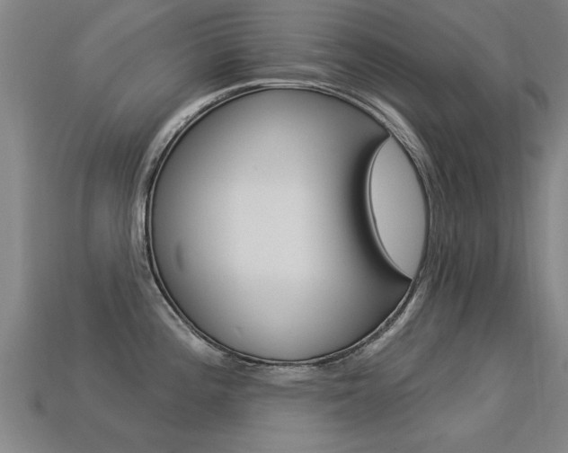X0000113341196200909150959