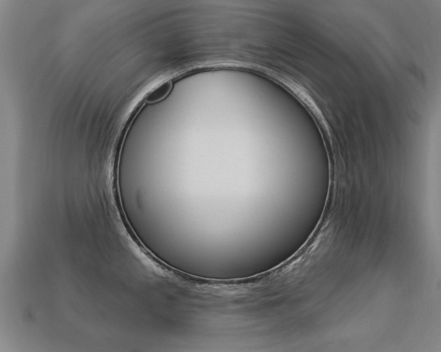 X0000113341197200909150959