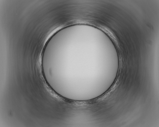 X0000113341198200909150959