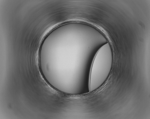X0000113341199200909150959