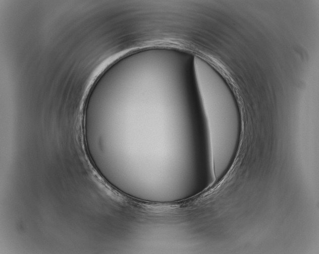 X0000113341200200909150959